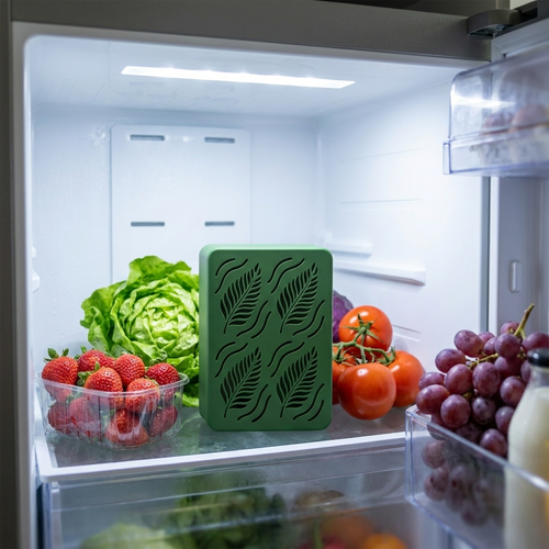 Fresh Fridge